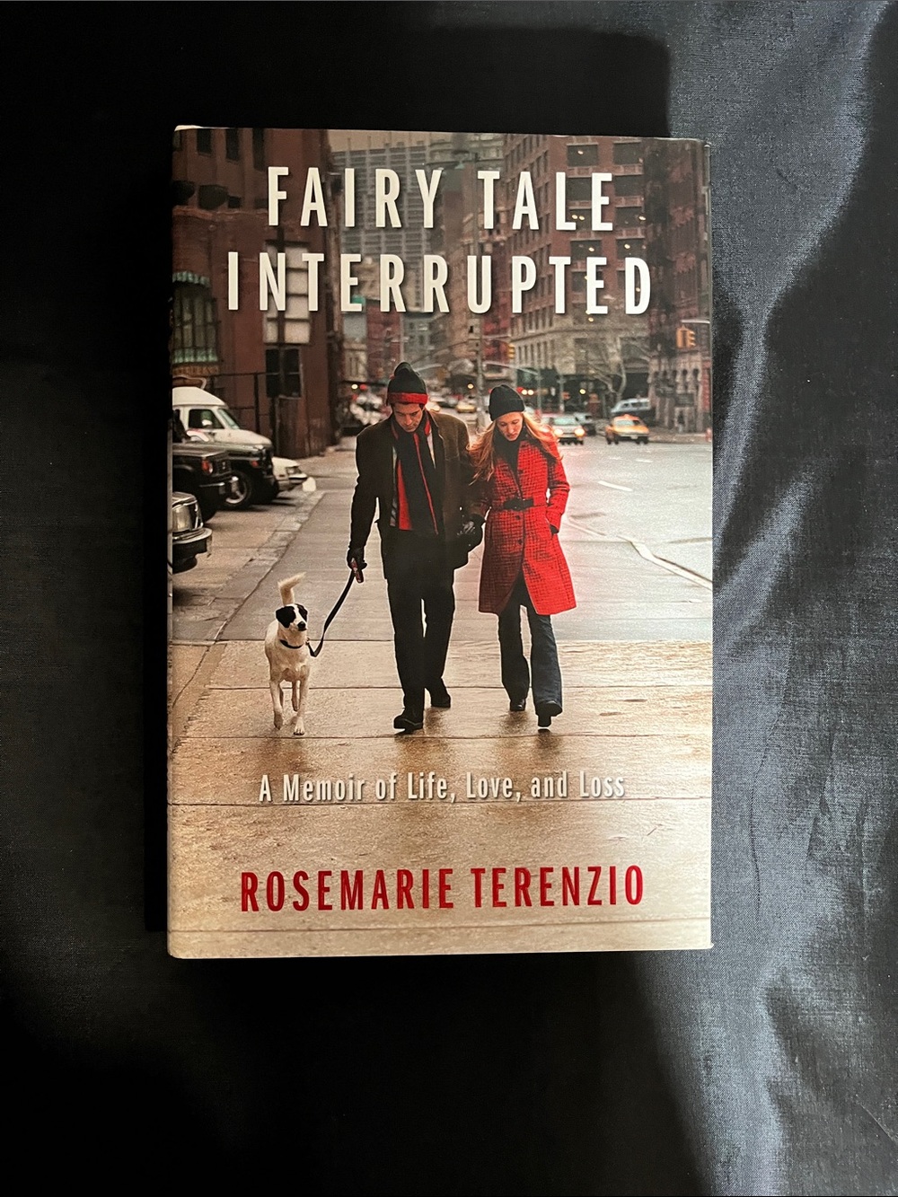 Fairy Tale Interrupted by Rosemarie Terenzio - Red & Neutral Cover